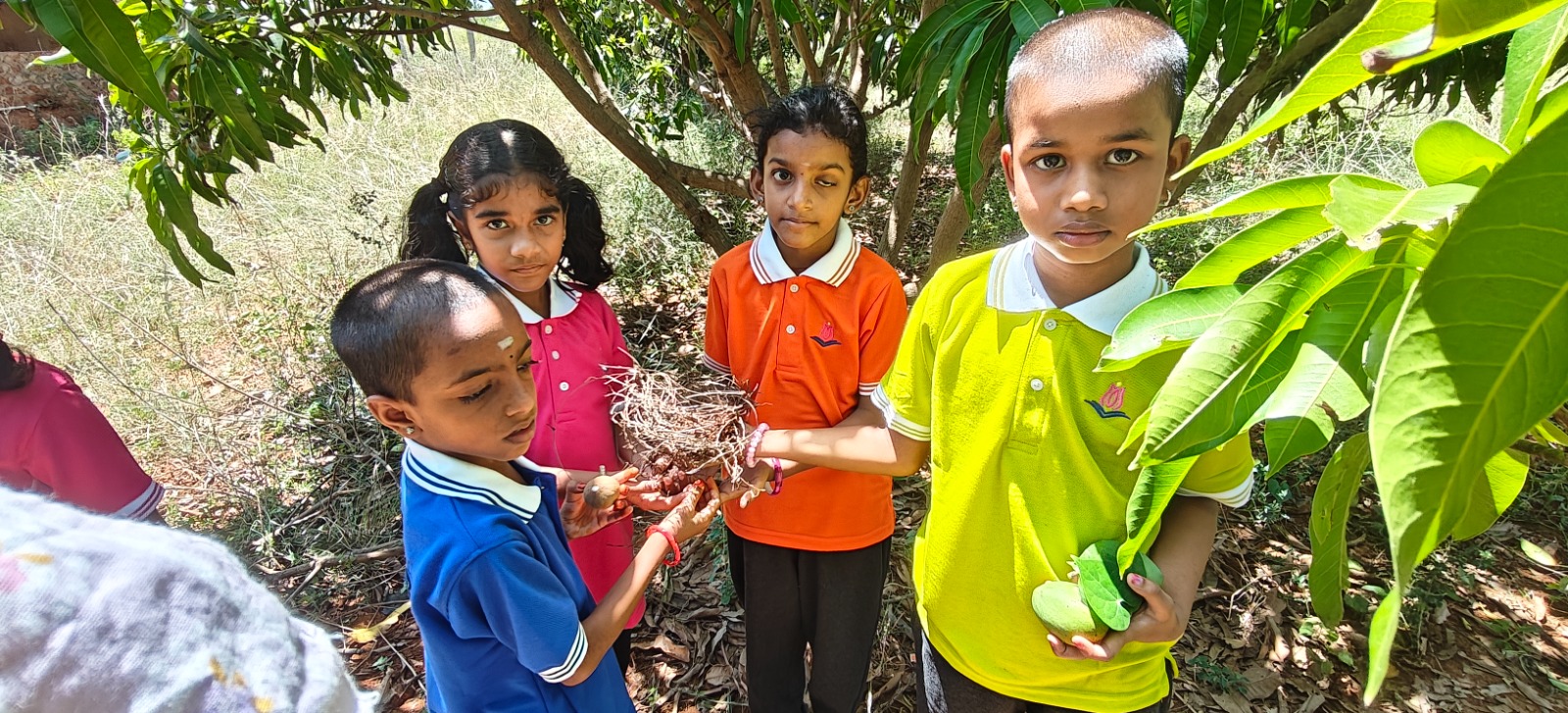 Students exploring plants and roots outdoors as part of real-world learning