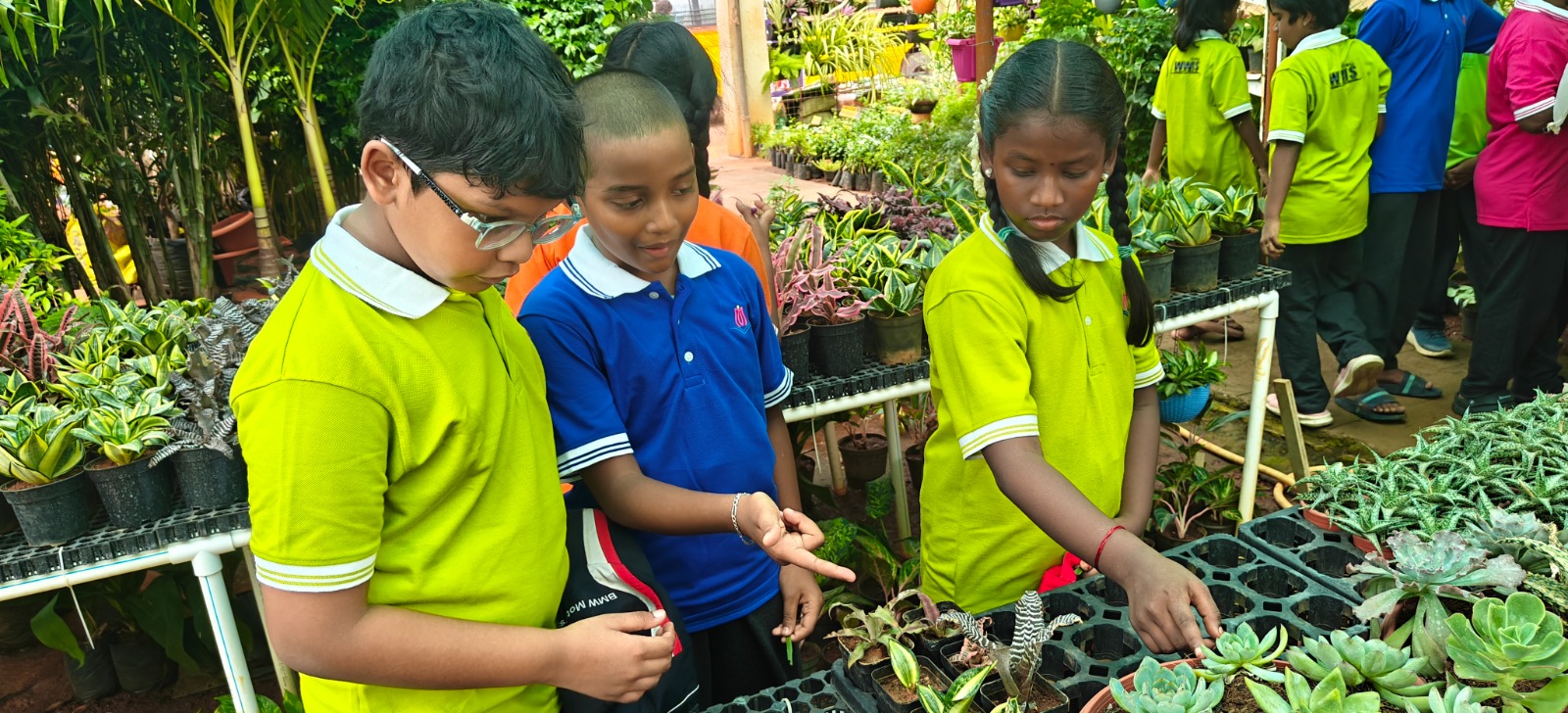 Students exploring plants in the garden during Nature Time
